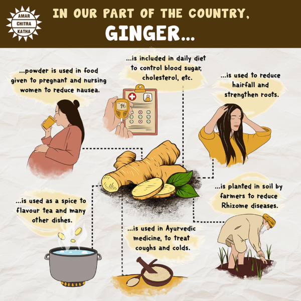 The Many Benefits of Ginger - Amar Chitra Katha